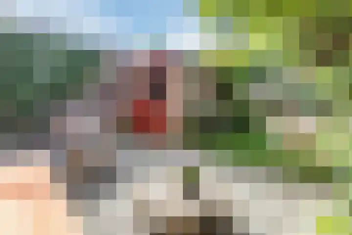 Paardeweijdt 9 Heiloo thumbnail 36