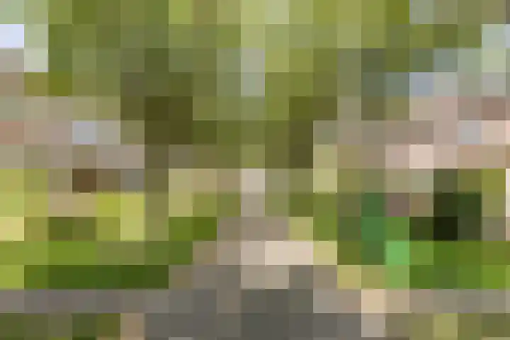 Paardeweijdt 9 Heiloo thumbnail 37