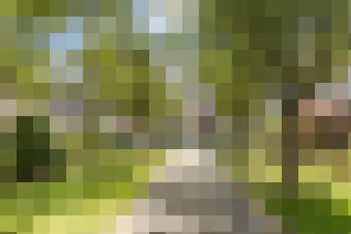 Paardeweijdt 9 Heiloo thumbnail 38