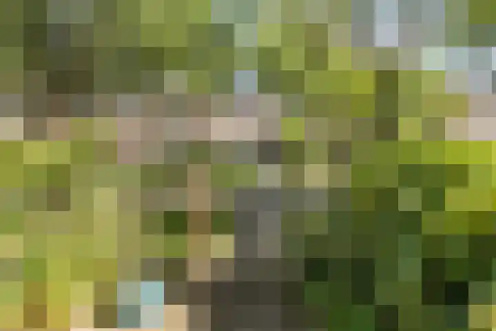 Paardeweijdt 9 Heiloo thumbnail 4