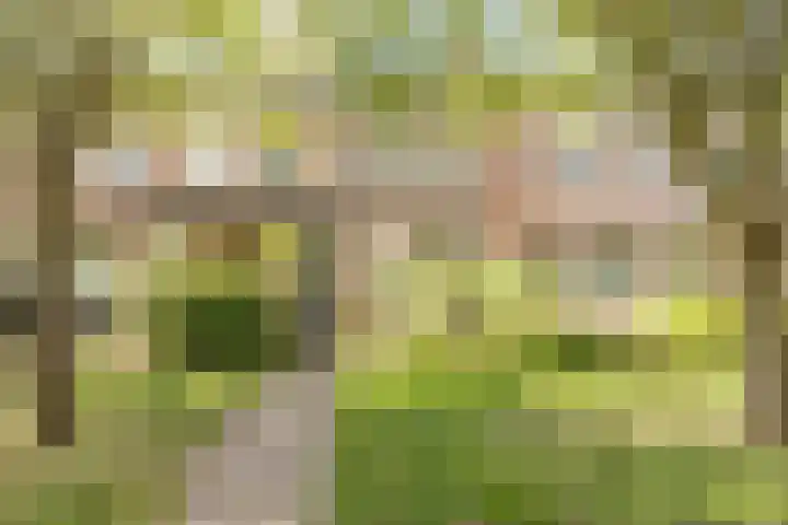 Paardeweijdt 9 Heiloo thumbnail 43