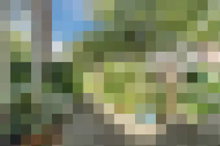 Paardeweijdt 9 Heiloo thumbnail 5