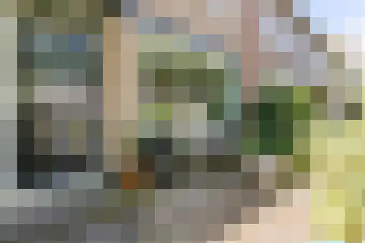 Paardeweijdt 9 Heiloo thumbnail 6