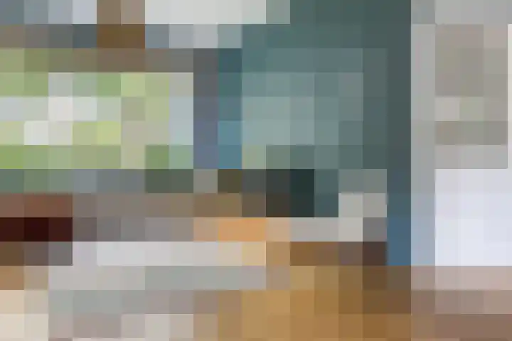 Paardeweijdt 9 Heiloo thumbnail 9