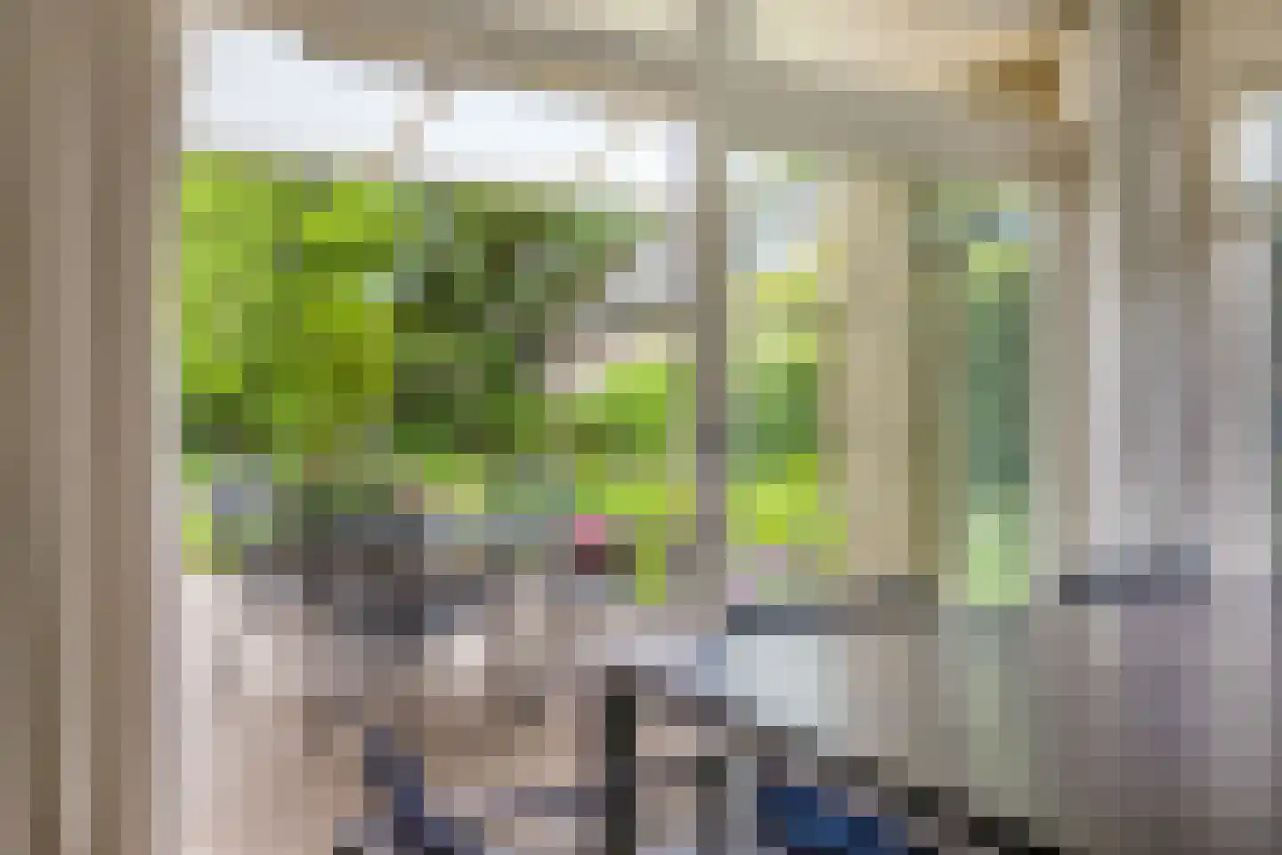 Paardshei 4 Veldhoven thumbnail 13