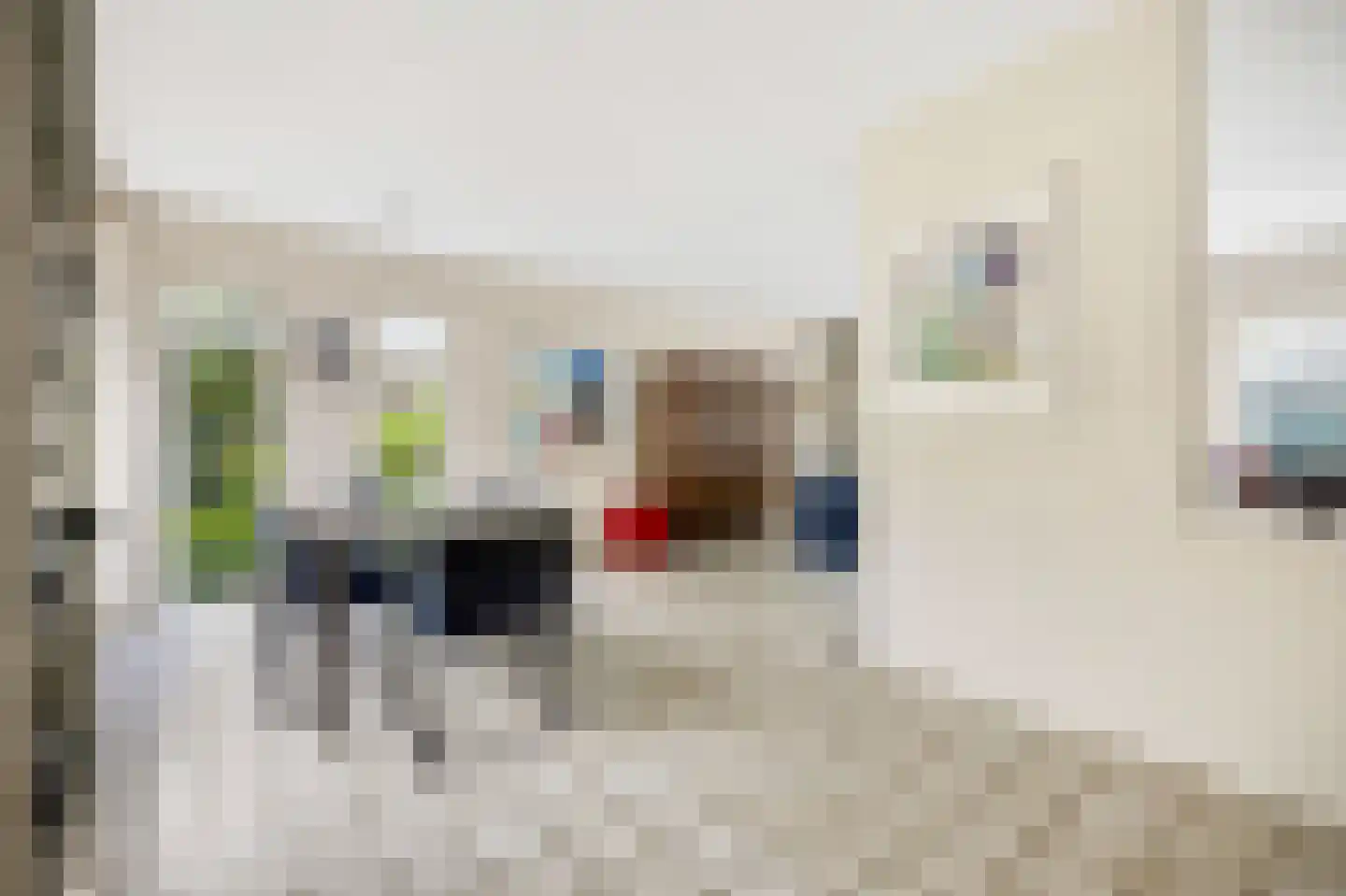 Paardshei 4 Veldhoven thumbnail 14