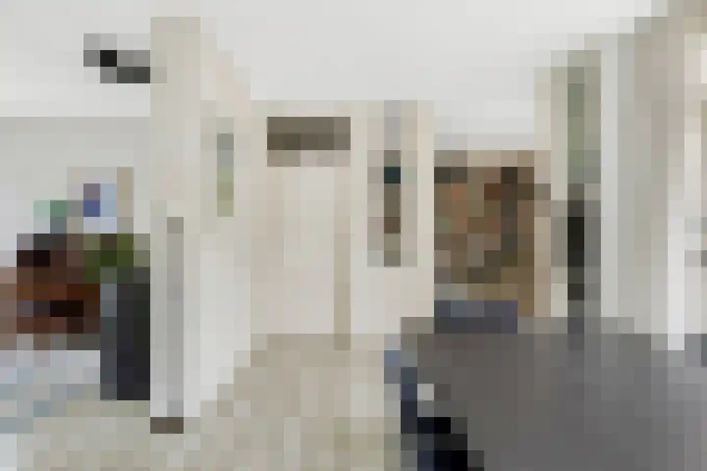 Paardshei 4 Veldhoven thumbnail 15