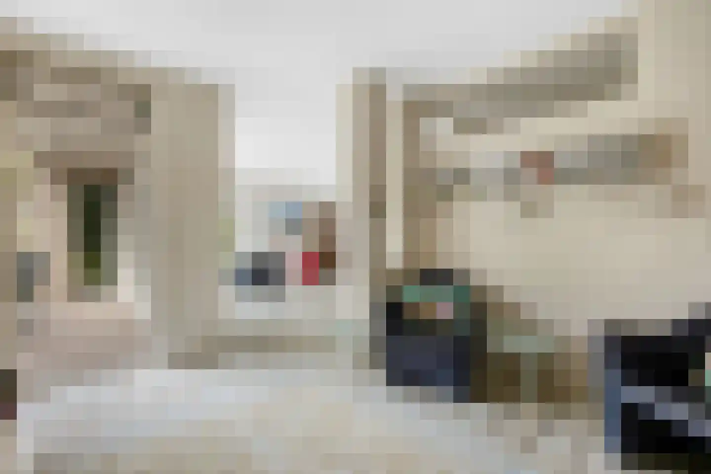 Paardshei 4 Veldhoven thumbnail 17