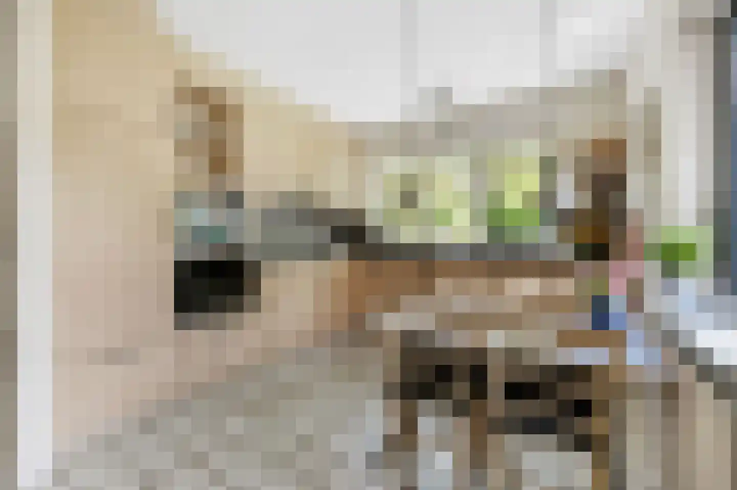 Paardshei 4 Veldhoven thumbnail 20