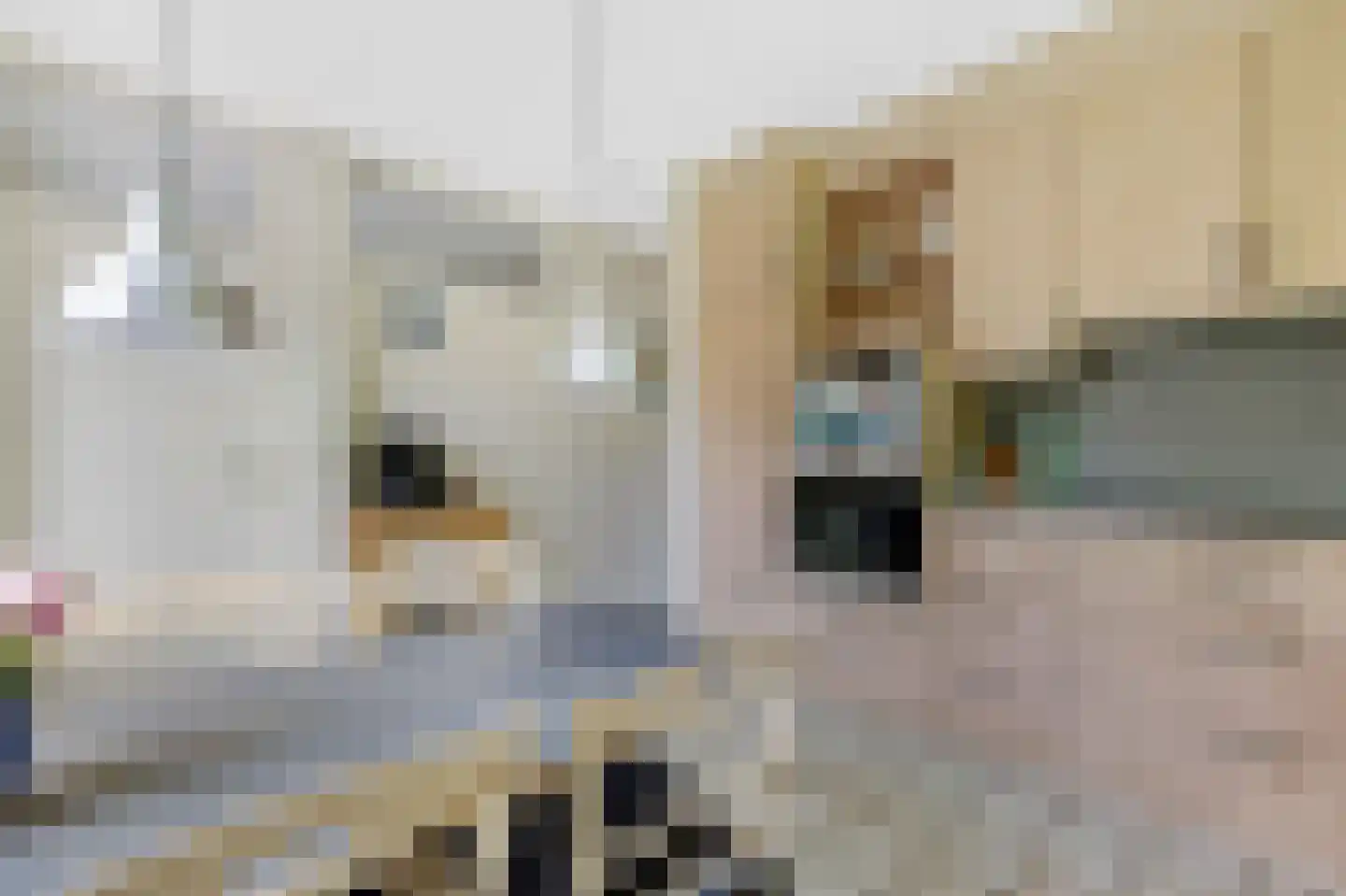 Paardshei 4 Veldhoven thumbnail 22