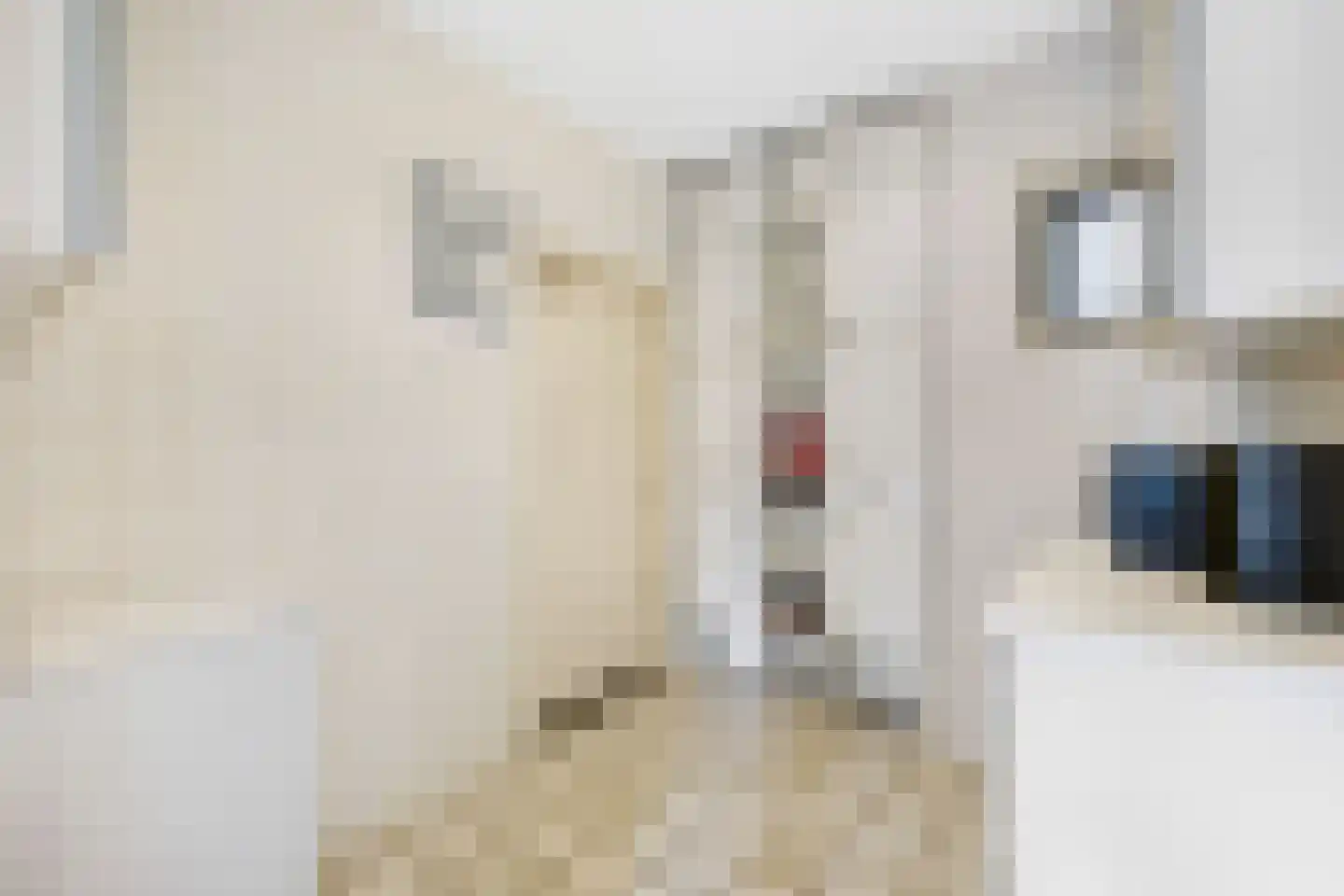 Paardshei 4 Veldhoven thumbnail 24