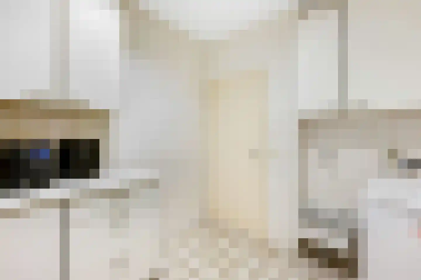 Paardshei 4 Veldhoven thumbnail 25