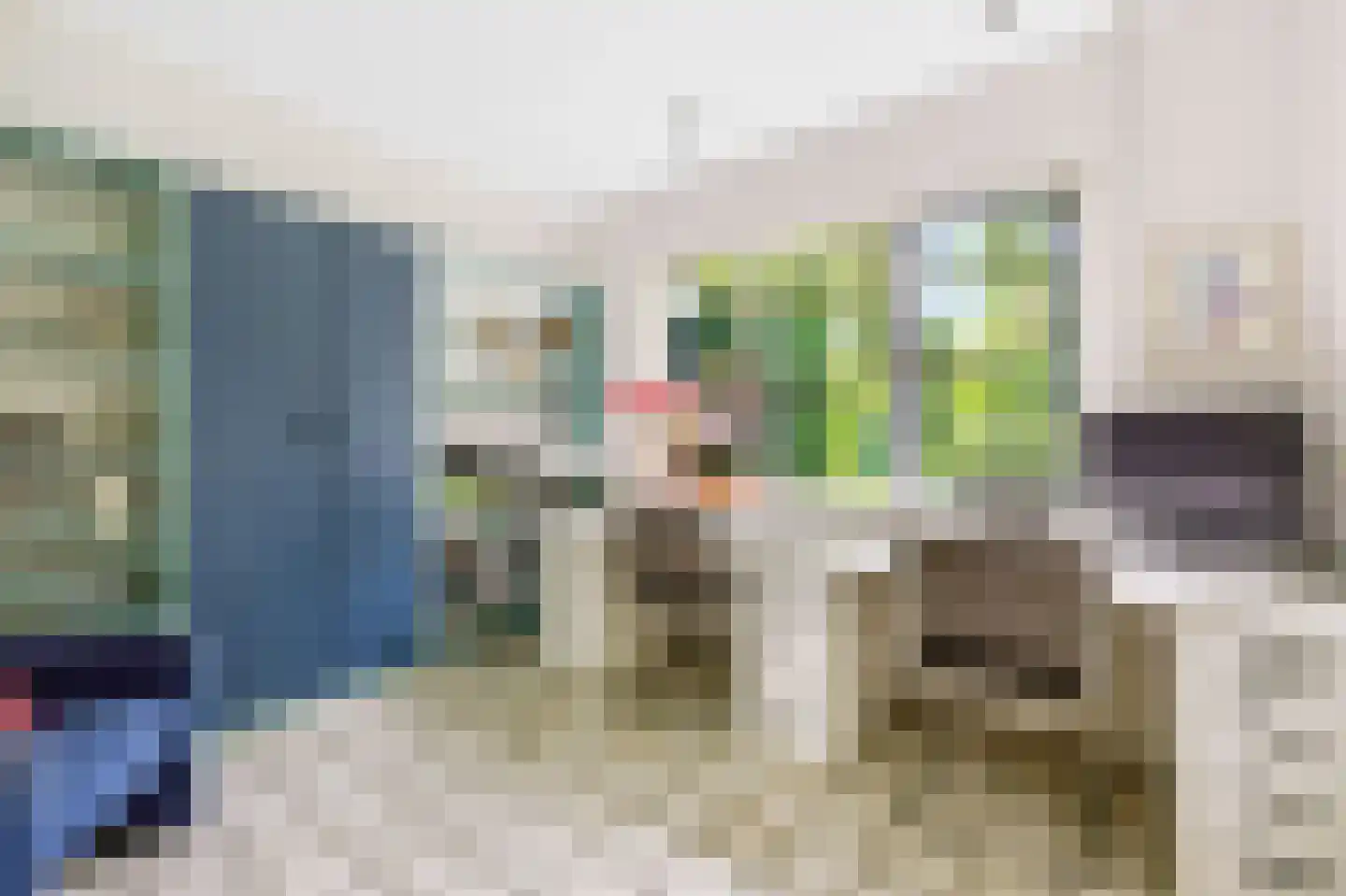 Paardshei 4 Veldhoven thumbnail 26