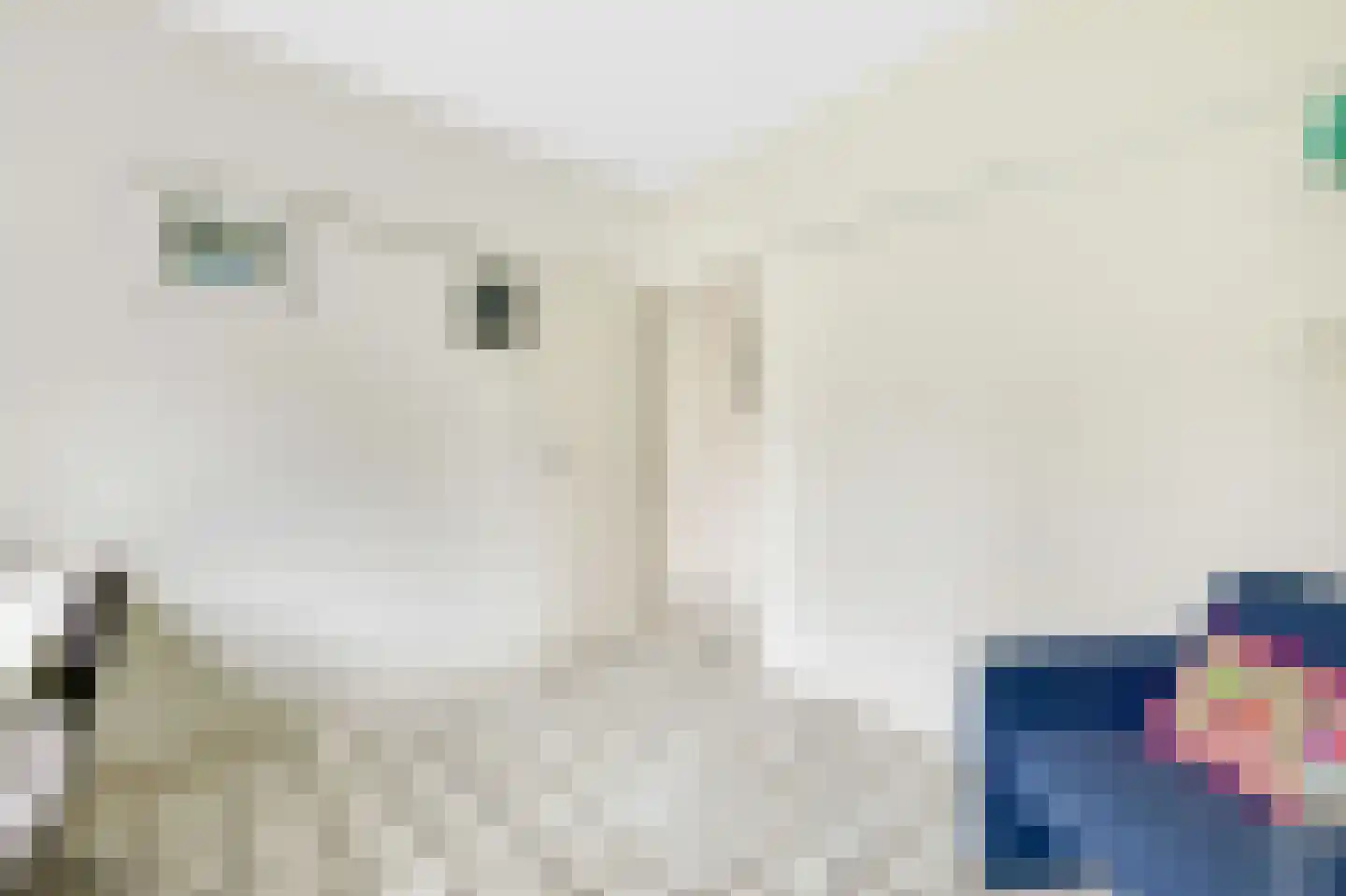 Paardshei 4 Veldhoven thumbnail 27