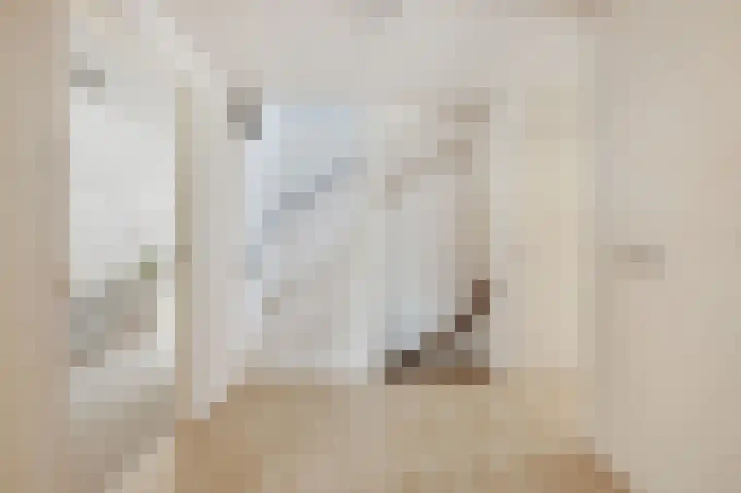 Paardshei 4 Veldhoven thumbnail 31