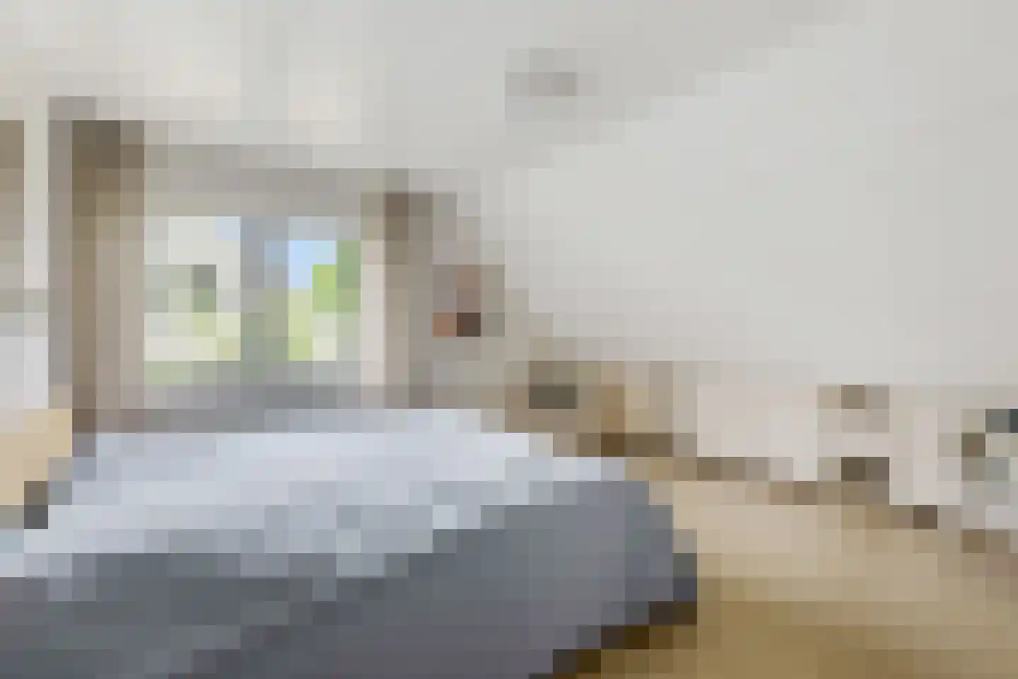 Paardshei 4 Veldhoven thumbnail 38