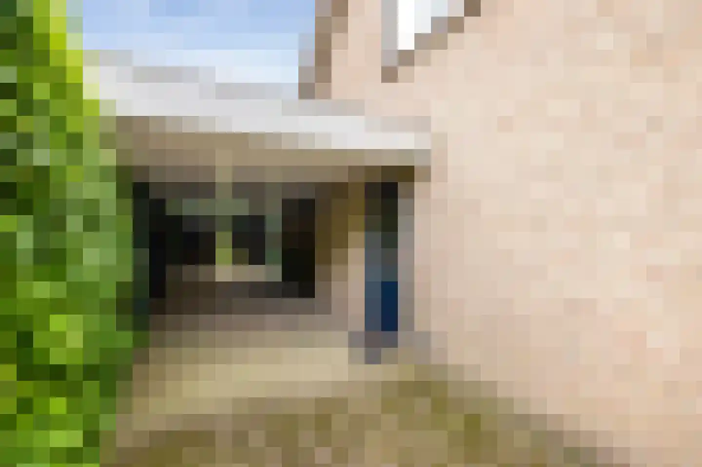 Paardshei 4 Veldhoven thumbnail 4