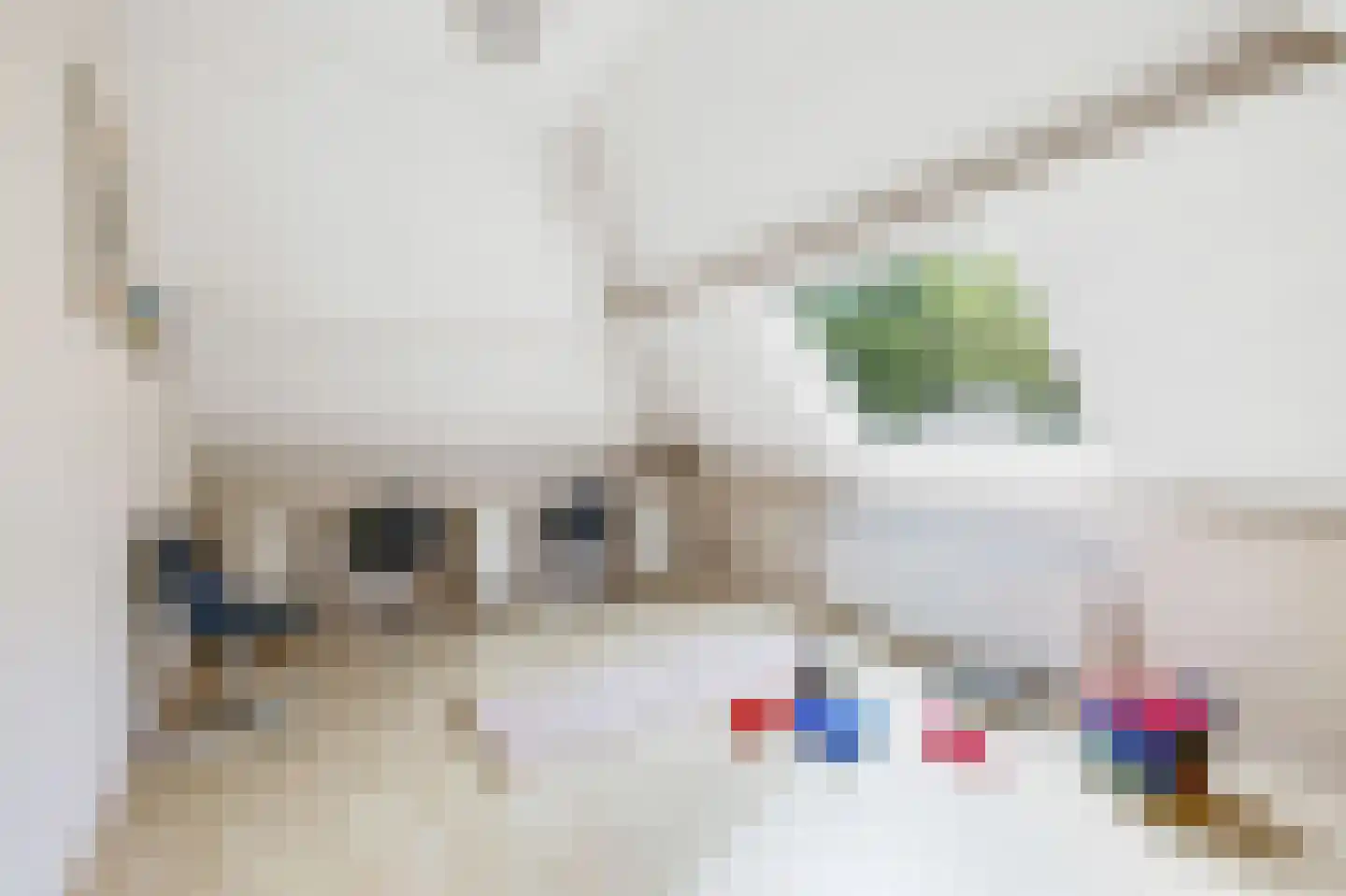 Paardshei 4 Veldhoven thumbnail 43
