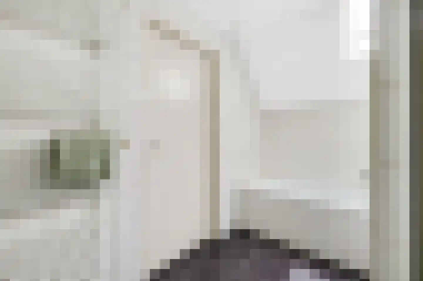 Paardshei 4 Veldhoven thumbnail 47