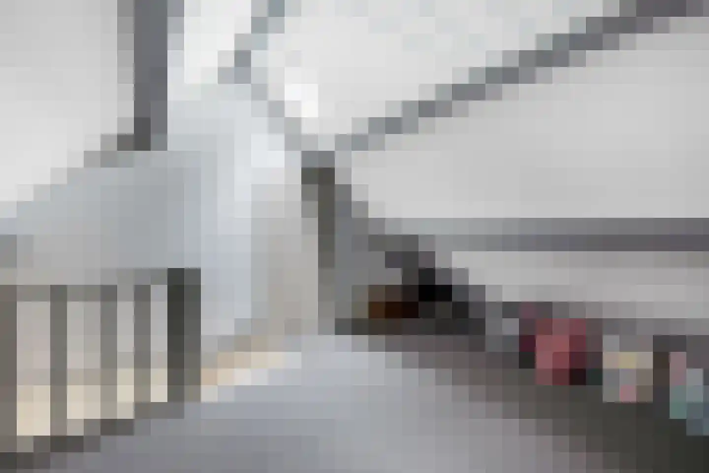 Paardshei 4 Veldhoven thumbnail 48