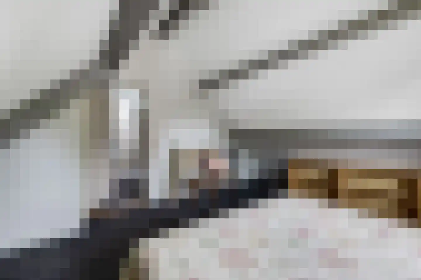Paardshei 4 Veldhoven thumbnail 51