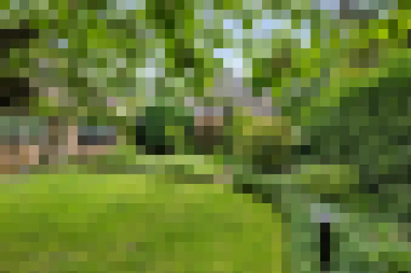 Paardshei 4 Veldhoven thumbnail 58