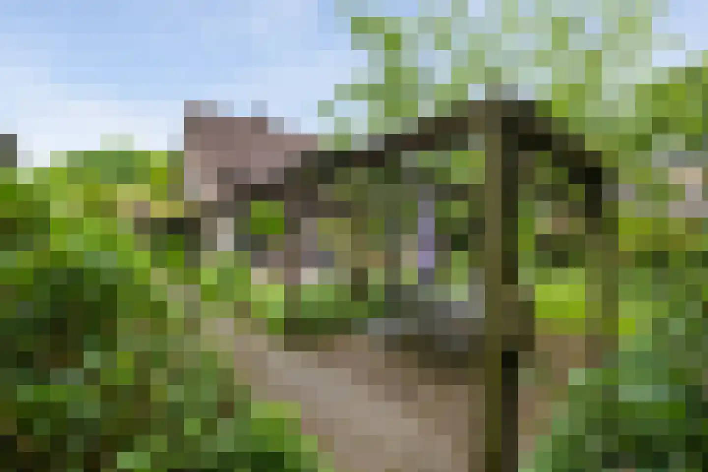 Paardshei 4 Veldhoven thumbnail 59