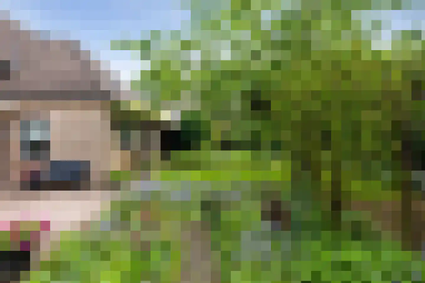 Paardshei 4 Veldhoven thumbnail 60