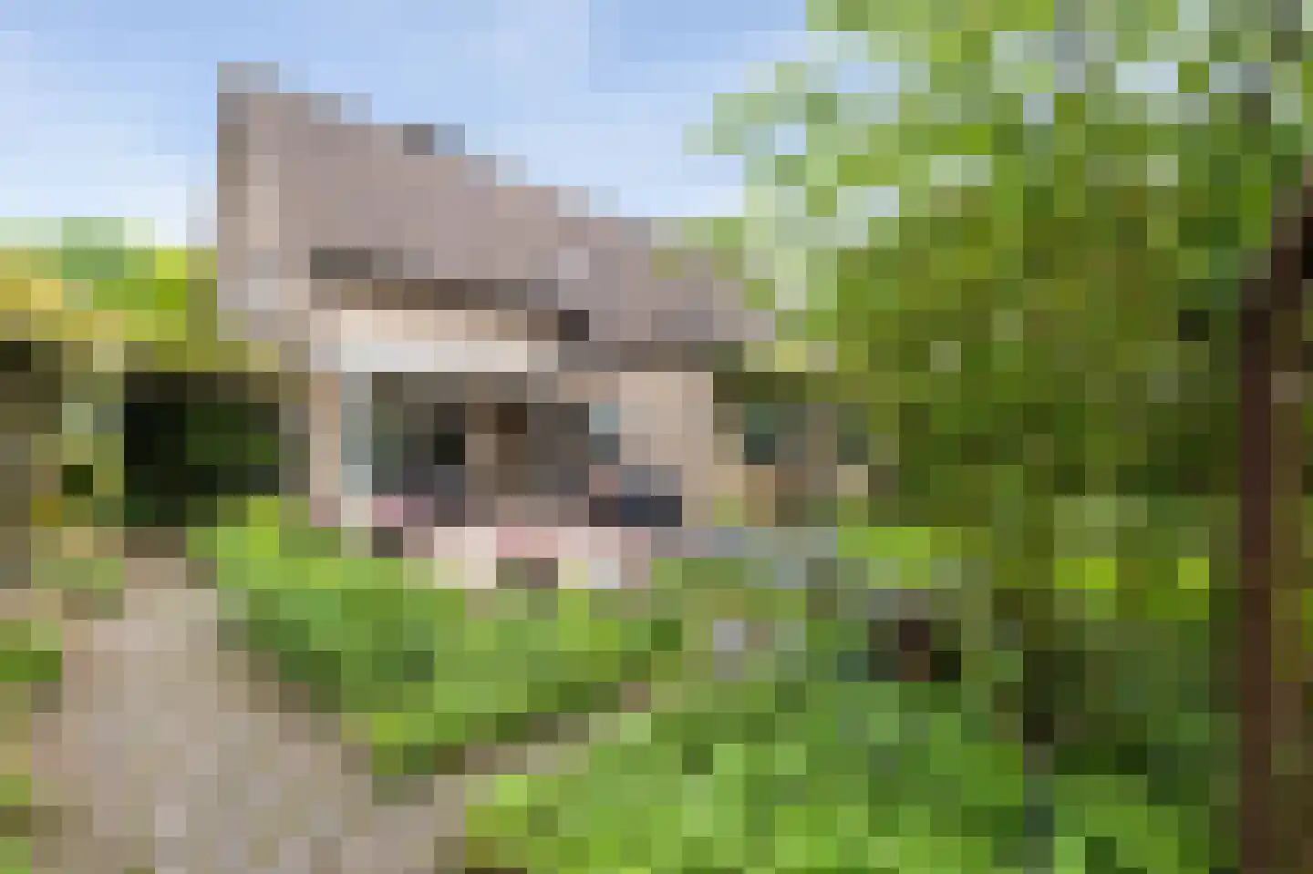 Paardshei 4 Veldhoven thumbnail 61