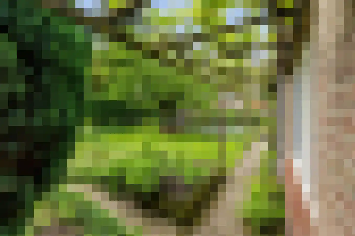Paardshei 4 Veldhoven thumbnail 64