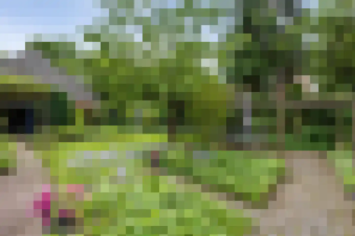 Paardshei 4 Veldhoven thumbnail 65