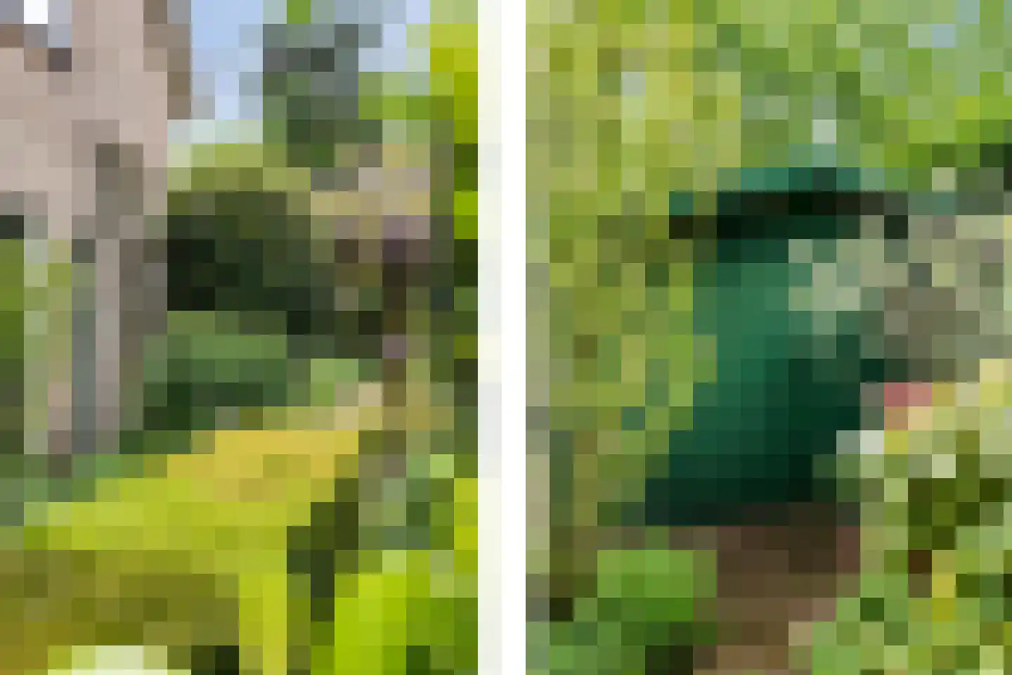 Paardshei 4 Veldhoven thumbnail 66