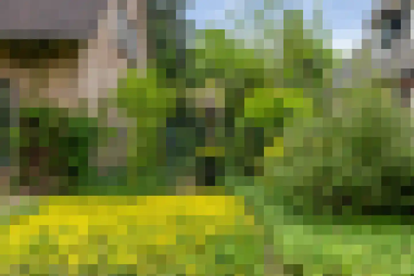 Paardshei 4 Veldhoven thumbnail 67