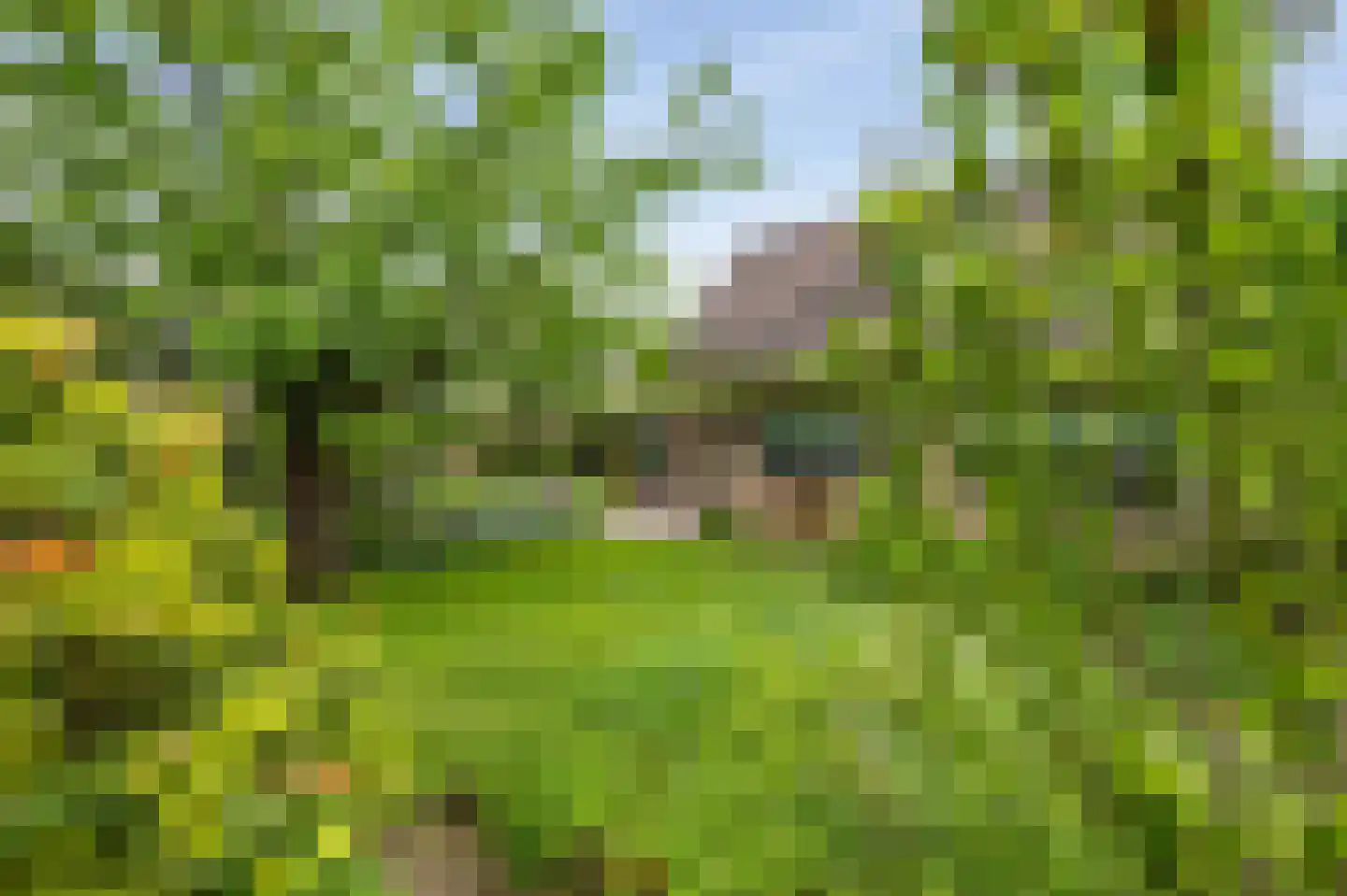 Paardshei 4 Veldhoven thumbnail 68