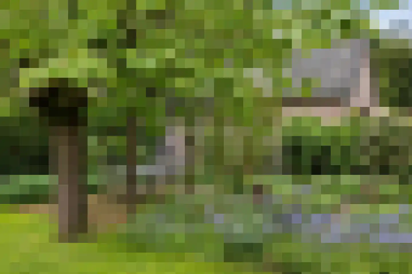Paardshei 4 Veldhoven thumbnail 69
