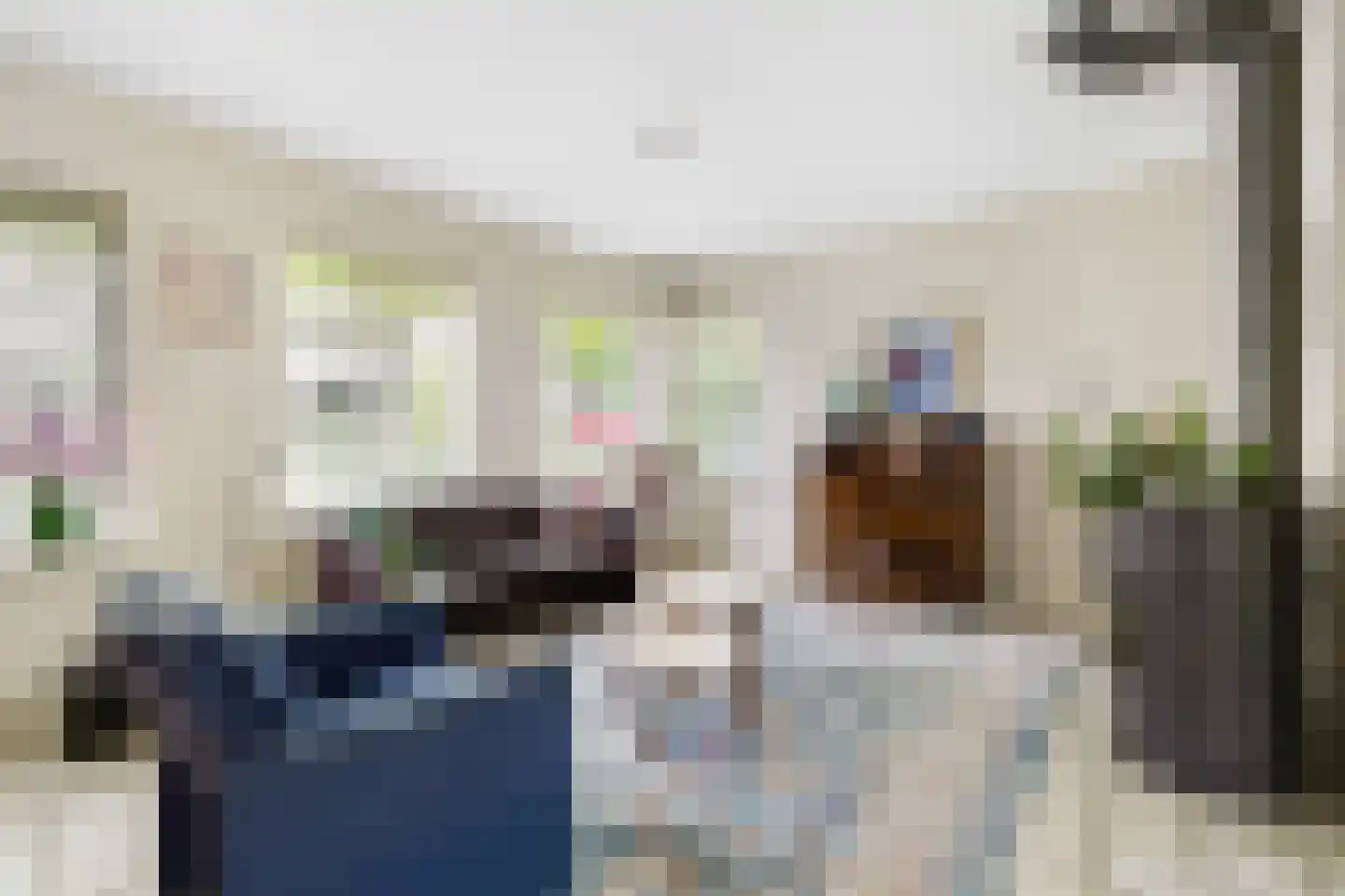 Paardshei 4 Veldhoven thumbnail 7