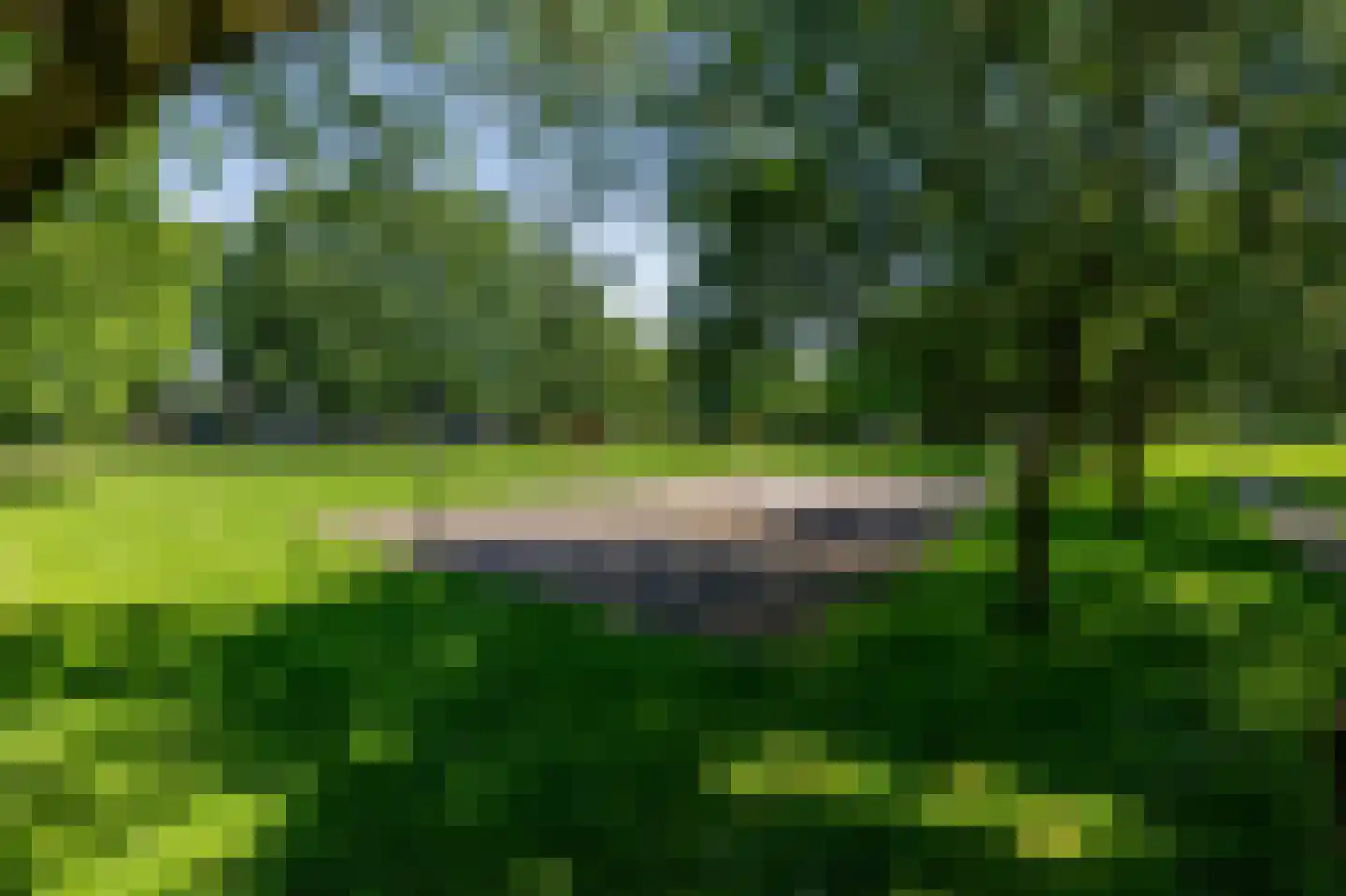 Paardshei 4 Veldhoven thumbnail 70
