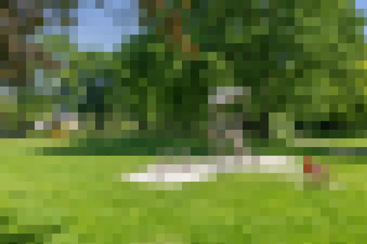 Paardshei 4 Veldhoven thumbnail 71