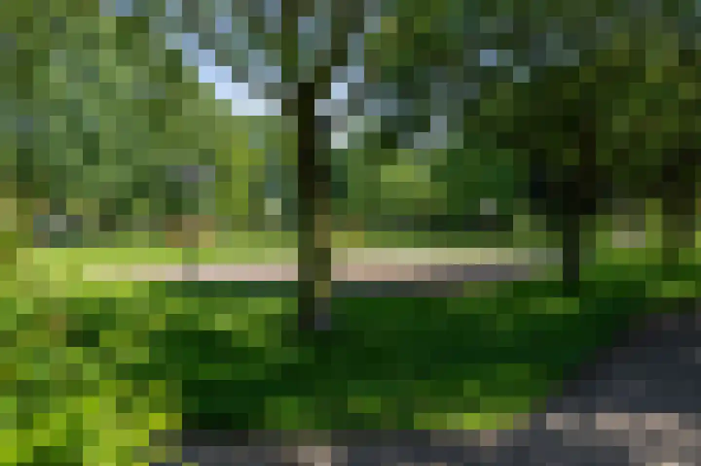 Paardshei 4 Veldhoven thumbnail 72