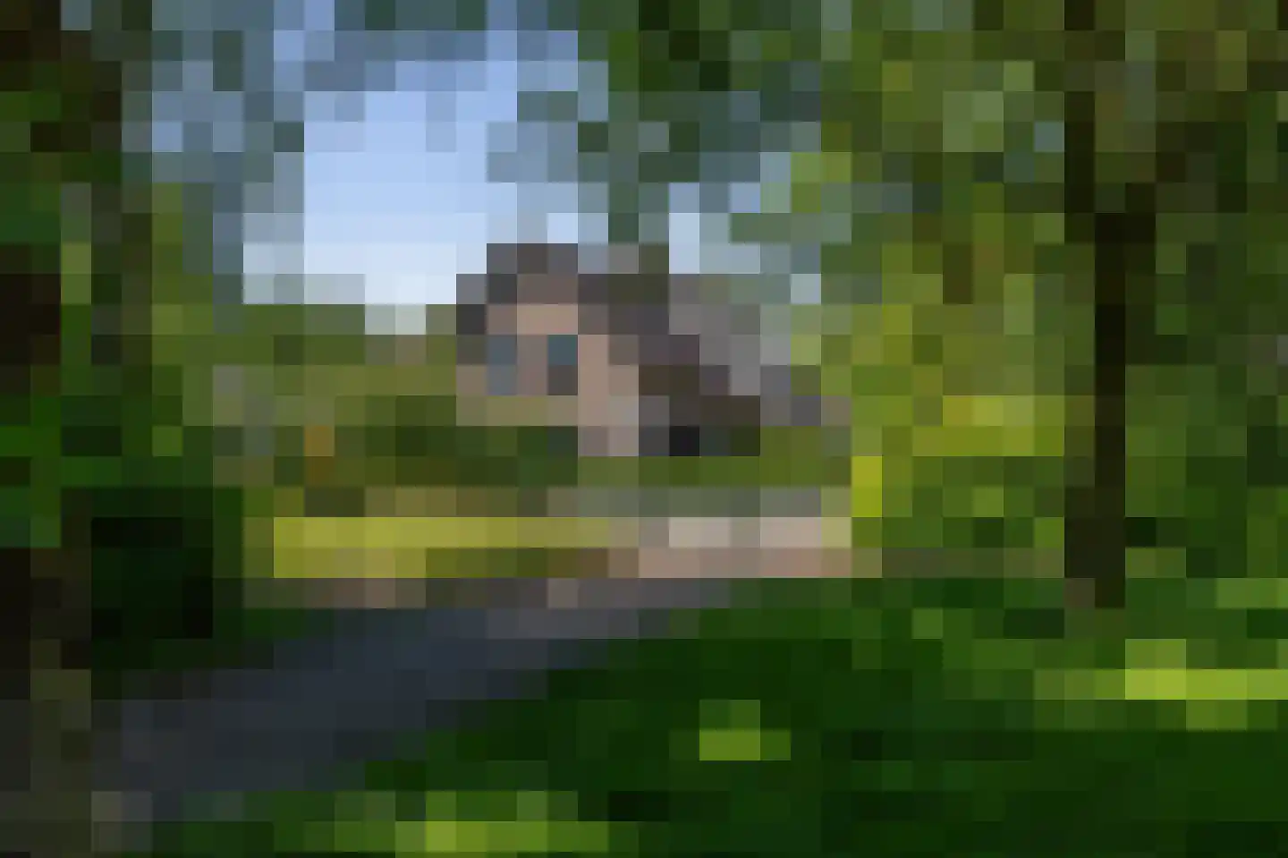 Paardshei 4 Veldhoven thumbnail 73