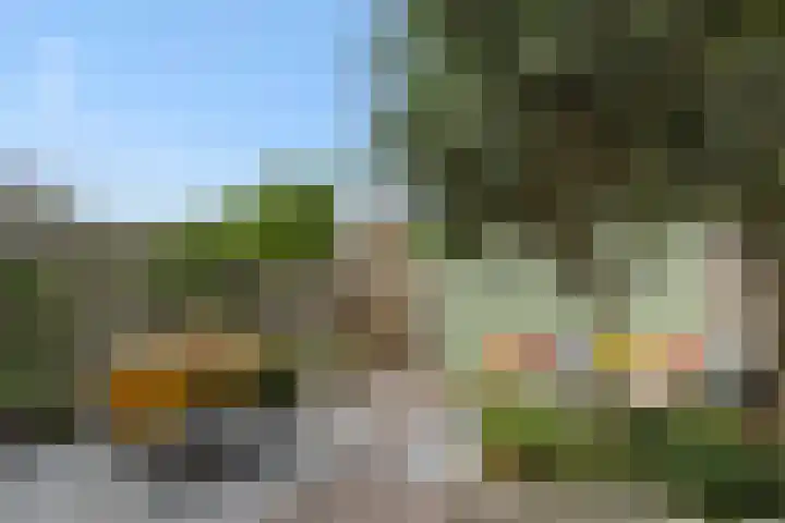 Paardskerkhofweg 20 's-Hertogenbosch thumbnail 27