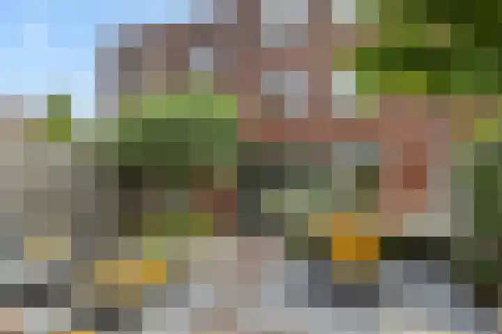 Paardskerkhofweg 20 's-Hertogenbosch thumbnail 28