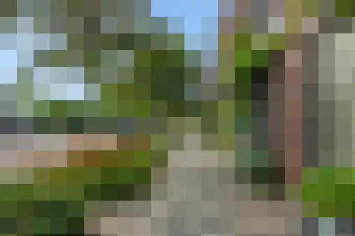 Paardskerkhofweg 20 's-Hertogenbosch thumbnail 29