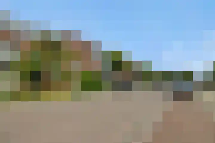 Paardskerkhofweg 20 's-Hertogenbosch thumbnail 31