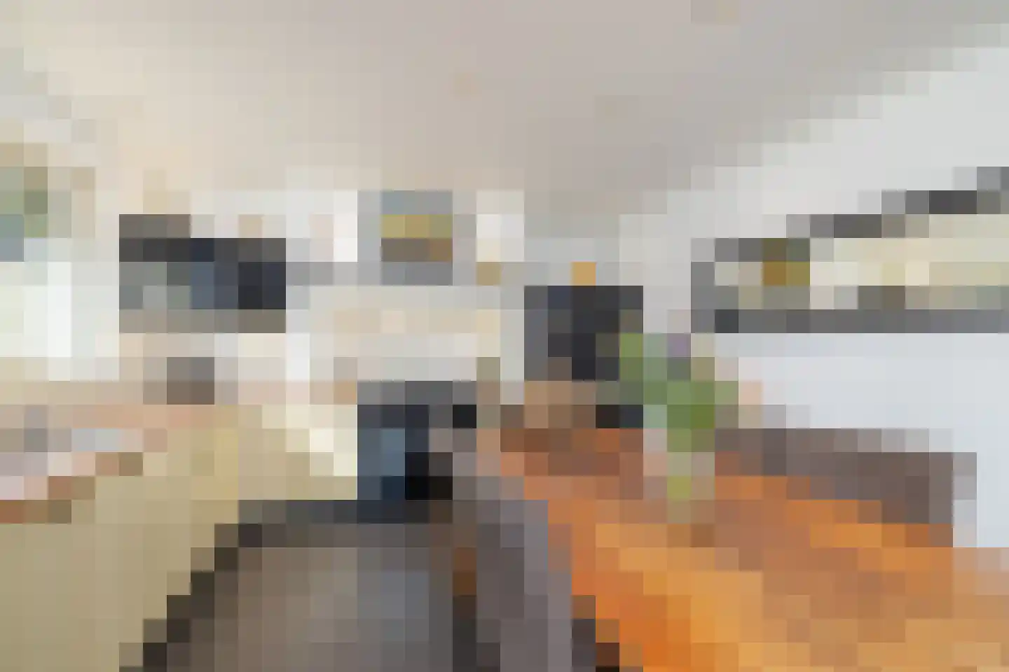 Paardsweide 2 's-Hertogenbosch thumbnail 10