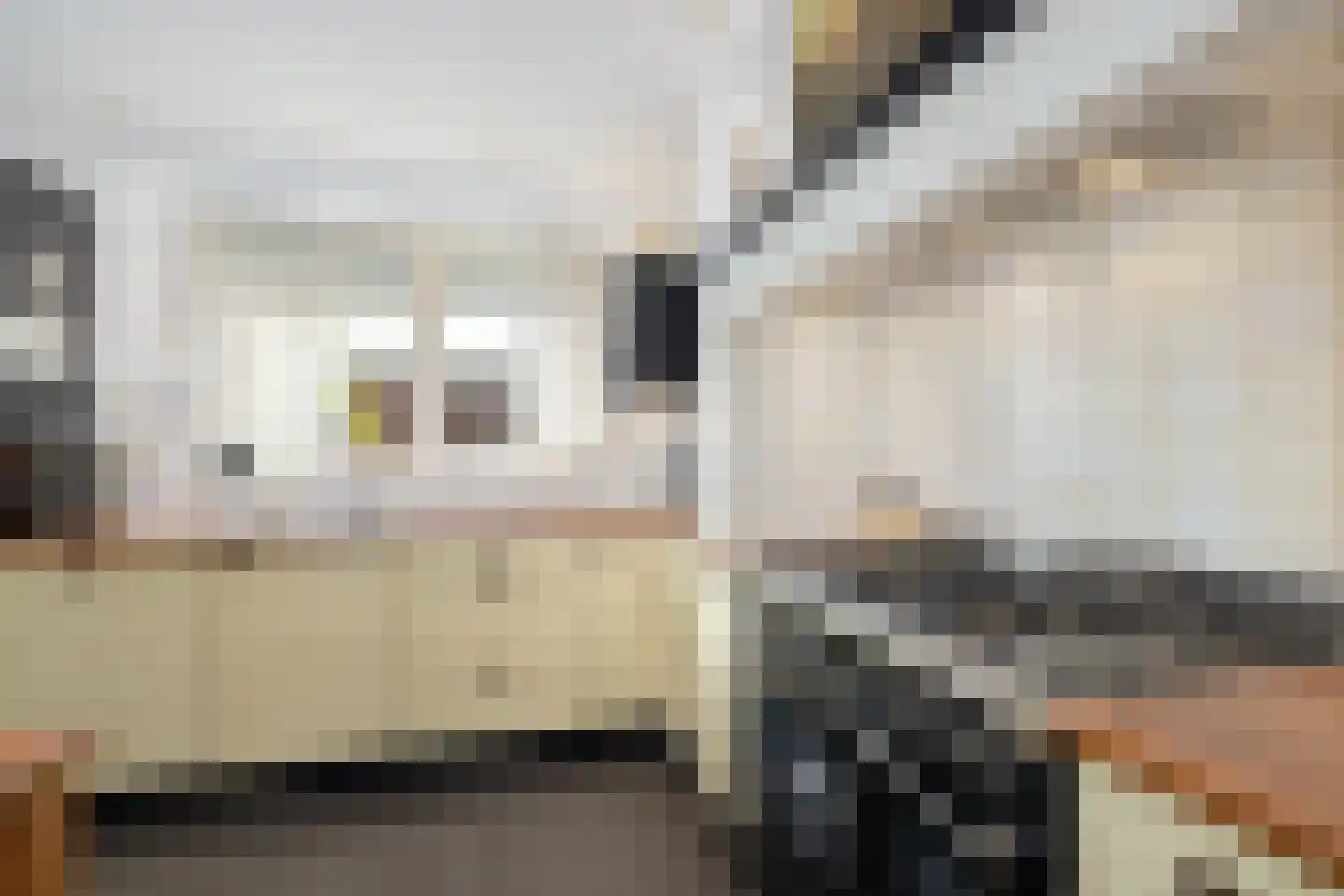 Paardsweide 2 's-Hertogenbosch thumbnail 13
