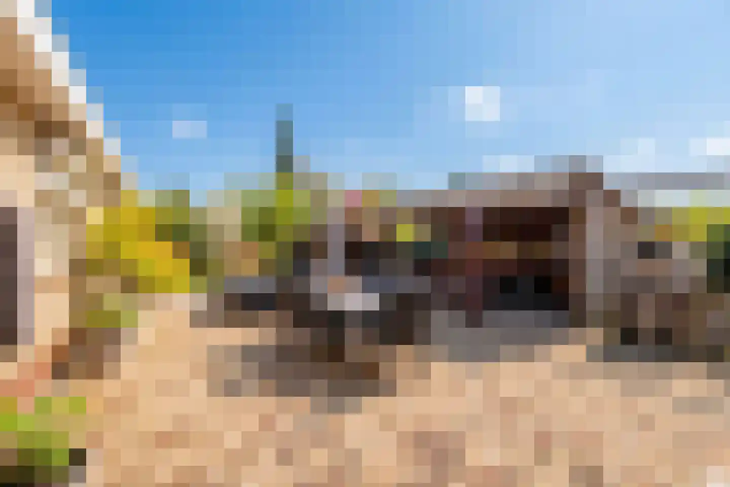 Paardsweide 2 's-Hertogenbosch thumbnail 19