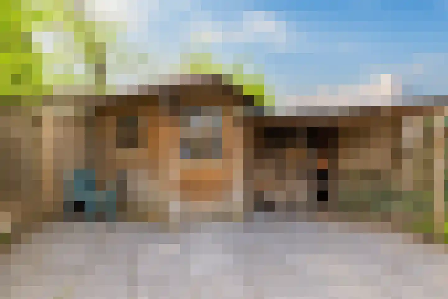 Paardsweide 2 's-Hertogenbosch thumbnail 22