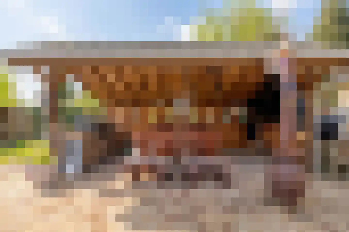 Paardsweide 2 's-Hertogenbosch thumbnail 25