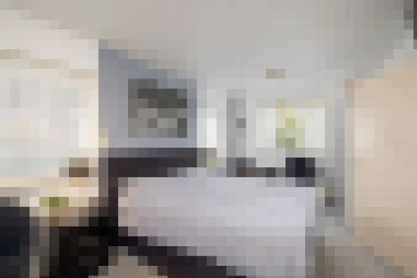 Paardsweide 2 's-Hertogenbosch thumbnail 28